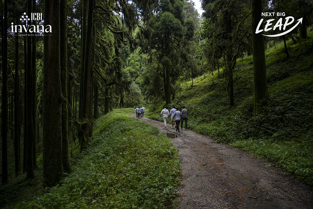 Forest walk · Day 3