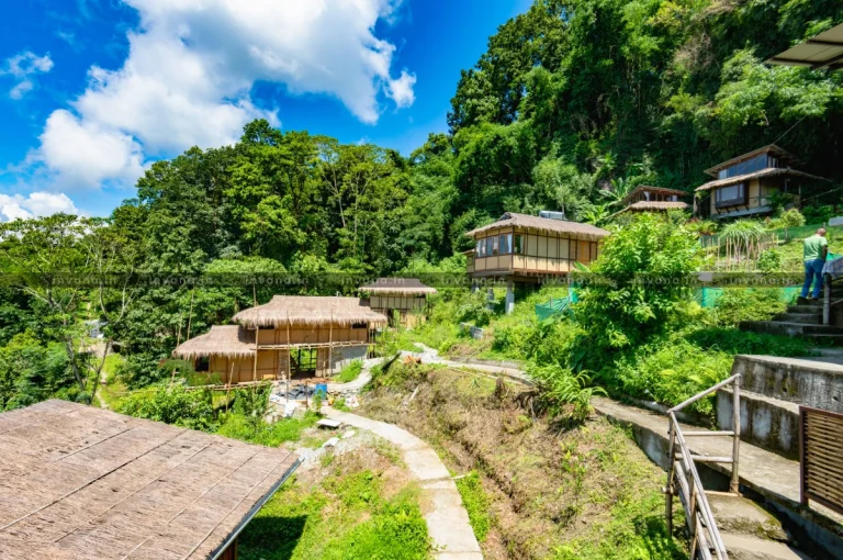 Art Mile Kalimpong Outside